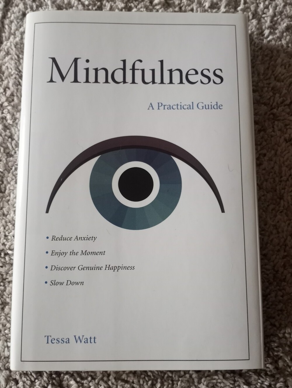 NWOT Mindfulness Book By Tessa Watt